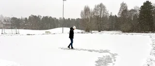 Goda utsikter för vinternöjen