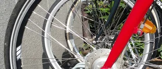 Cyklar begärligt stöldbyte