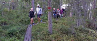 Mycket att upptäcka på Solanderledens dag 