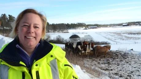 Nina Bergholtz, Himmelsrum Gamleby föder upp islandshästar och de föredrar alltid att vara ute hur kallt det än blir.