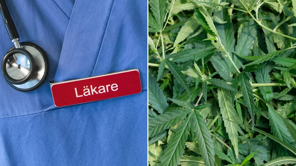 En läkare, som bland annat har jobbat på Mälarsjukhusets psykiatri, klandras efter att ha skrivit ut narkotikaklassade mediciner till sin inneboende.