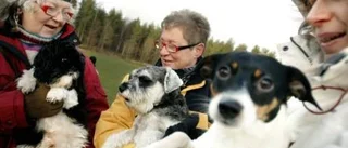 Föreningen där alla får skäll