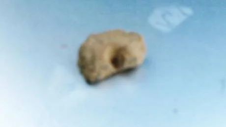 Fragment av en kruka i lera som har grop och kamstämpel.