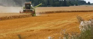 Sverige bäddar för höga matpriser