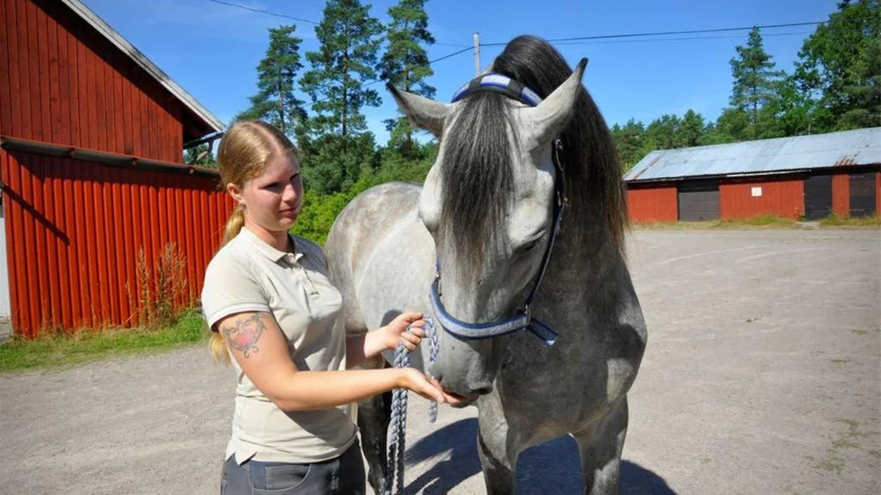 Renée Knutsson tillsammans med det spanska varmblodet Jaleoso G.S.