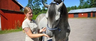 Renée driver hästhjälp i Blackstad