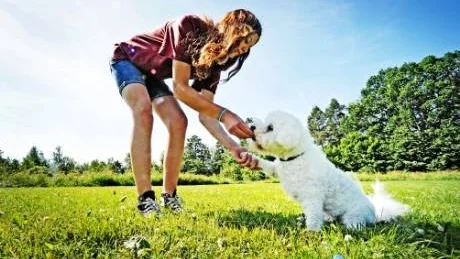 Emma Andersson med sin lilla bichon frisé Totte. - Det är min egen hund. Vi tränar ganska mycket och det är jätteroligt, säger hon.