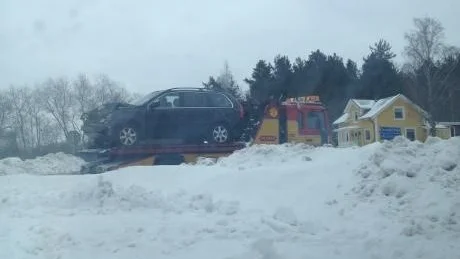 Ingen människa skadades allvarligt vid olyckan.