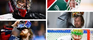 LISTA: Vi rankar SHL:s bästa målvakter – "45 matcher för Högberg?"