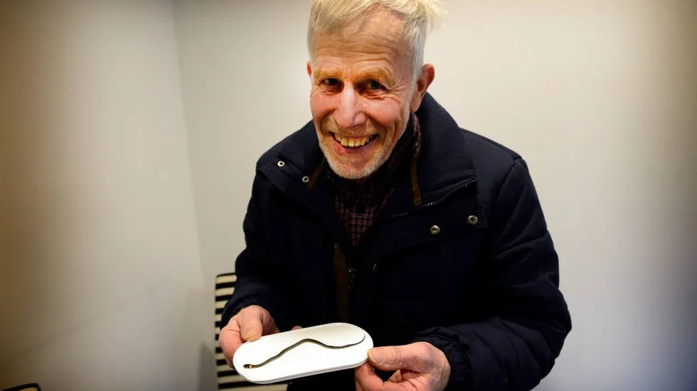 Ormfynd. Kurt Harrström med den upphittade snoken.