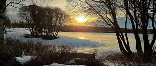 Läsarbilden: Sol och lite morgondis