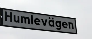 Stort intresse för nytt bostadsområde