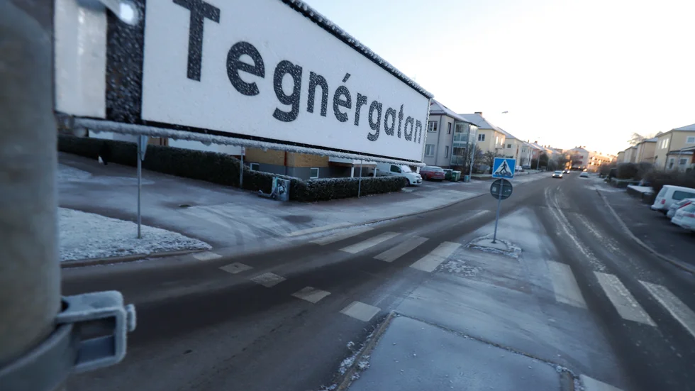 Det var på Tegnérgatan i Eskilstuna som flera personer iakttogs när de försökte ta sig in i en bil.
