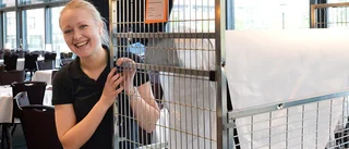 Sund kontroll på Verandan inför studentbalen