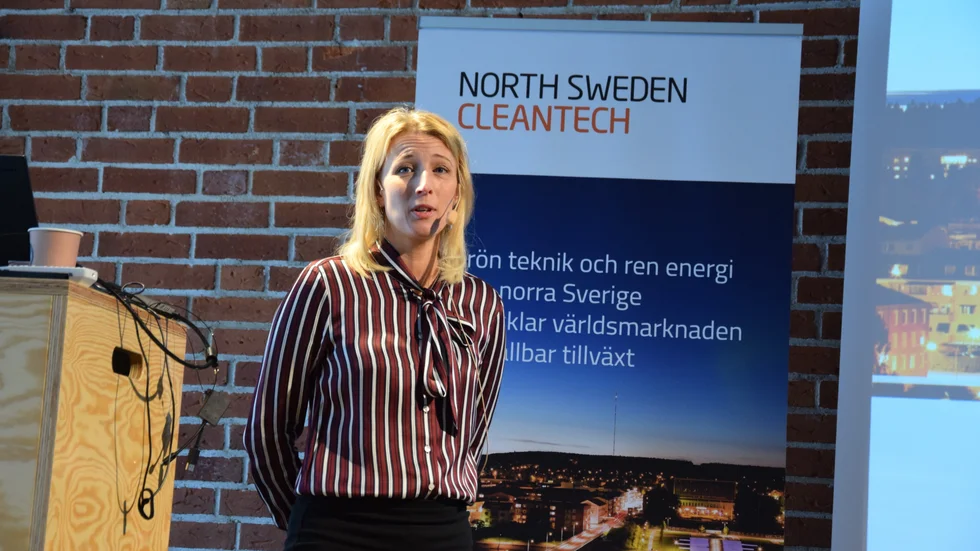 Beskrev verksamheten. Susanne W Lindström, projektledare vid North Sweden Cleantech, berättade om dess verksamhet och avslöjade att Skellefteå för en konferens för ”framtidens industri” på senhösten.
