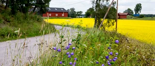 Debatt: Ta vara på landsbygdens möjligheter