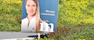 Micaela, sprid inte verbal skit  om dina politiska motståndare