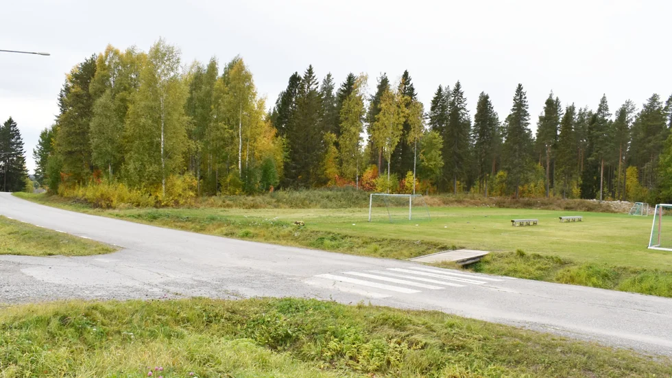 Det finns funderingar om att bygga en förskola i skogen som syns i bakgrunden, men inget är bestämt. Platsen är väster om Falmyrvägen i Bergsbyn.