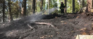 Skogsbrand vid ridhuset – se när brandmännen bekämpade den