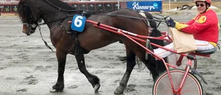 Latino tål att göra grovjobbet