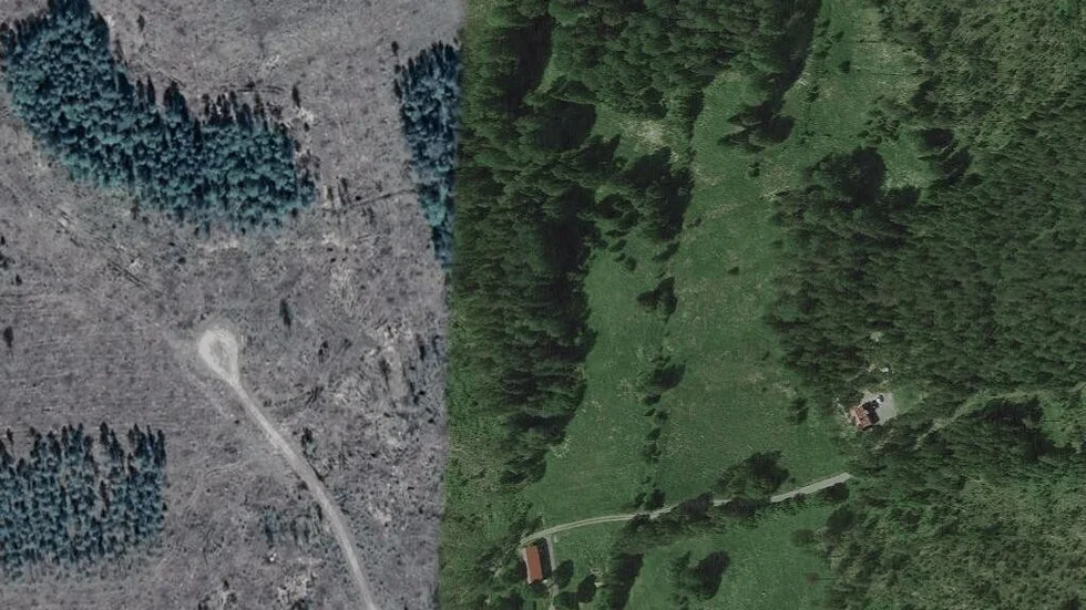 Området kring Nipparbol 102