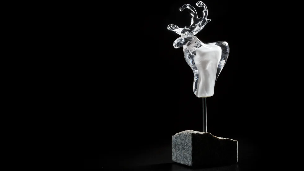 Tillsammans med Nordskens Vänner väljer Fredrik Malmberg att dela ut utmärkelsen White Reindeer Award för första gången på en gala i Skellefteå. 