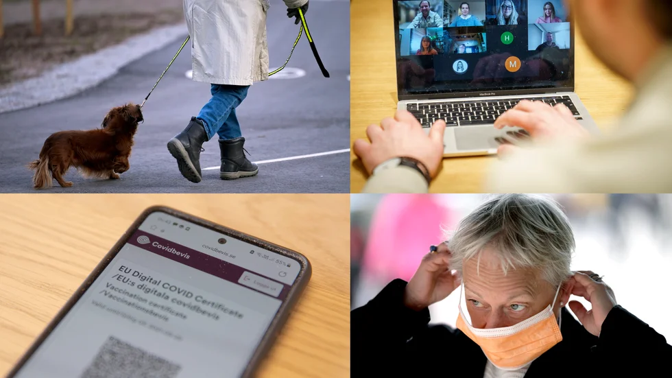 Coronahund eller djuränkling, zoomtrötthet, vaccinpass och maskne. Några tillskott till ordförrådet i år.