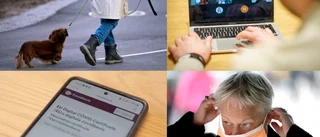 Ljushare, fono och maskne – här är de nya orden
