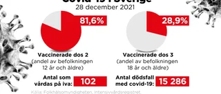 Över 100 covidsjuka på iva – flest sedan juni