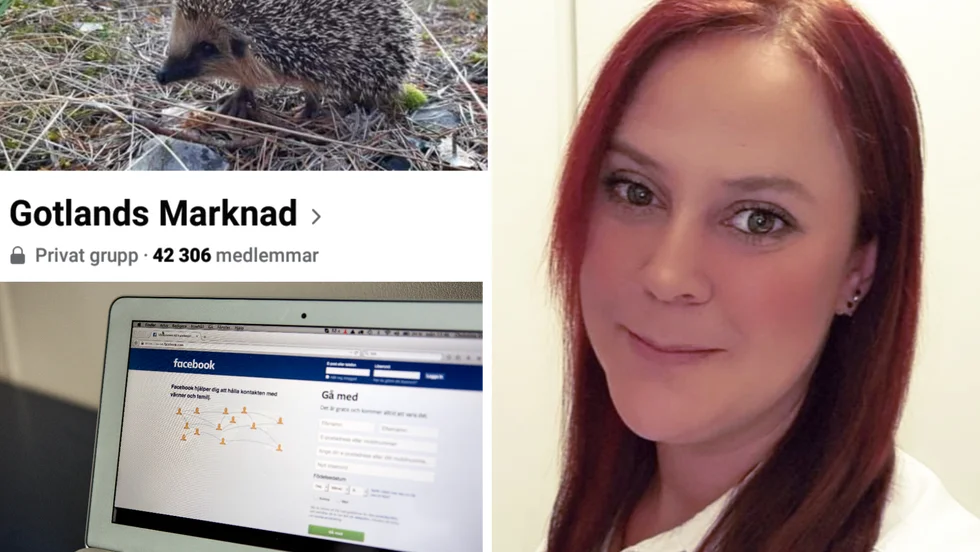 Anna Alyhr var inte beredd på hur populär Gotlands Marknad på Facebook skulle komma att bli.