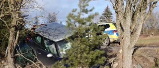 Bilist körde in i träd • Halt på platsen