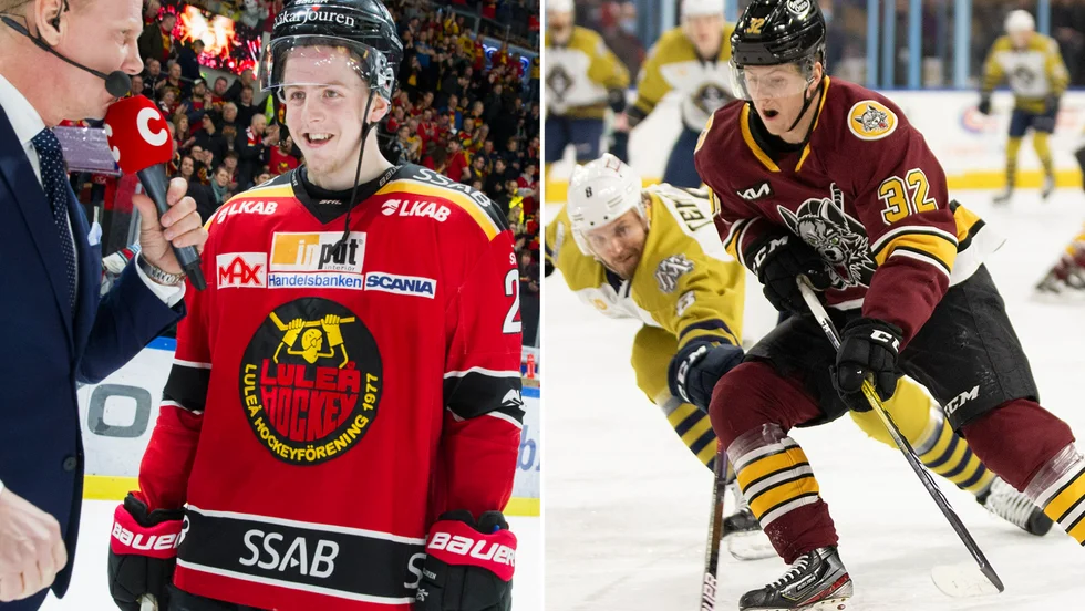 Jesper Sellgren har tidigare gjort två säsonger i Luleå mellan 2018 och 2020.