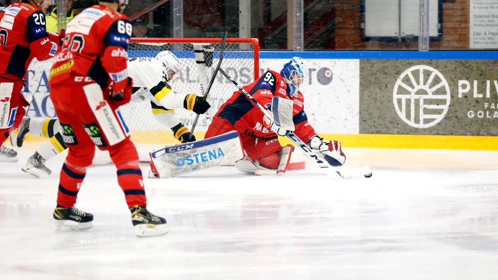 Edvin Olofsson växte ut till VIK:s förstemålvakt under fjolårssäsongen och spelade 33 av 52 grundseriematcher.