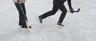 Vill bygga multisportarena