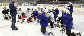 Andersson får jobb i högsta serien