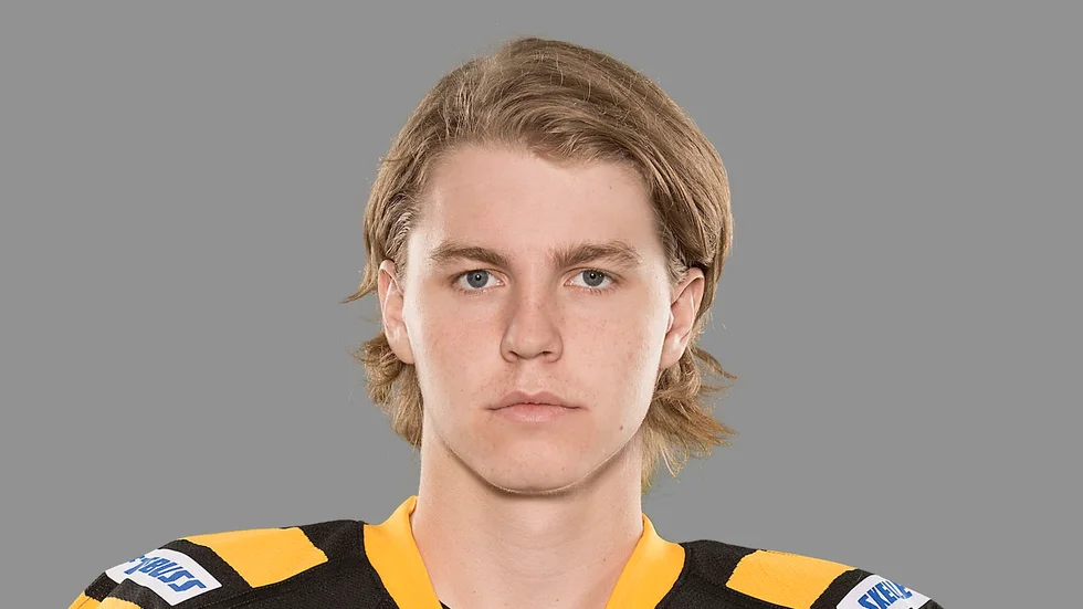 Sebastian Aho. Foto: Stig Kenne / TT.