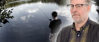Moderaterna fiskar i grumliga vatten