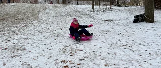 Äntligen är det pulkasnö i Skolparken 