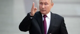 Amnesty International går Kremls ärenden i Ukraina