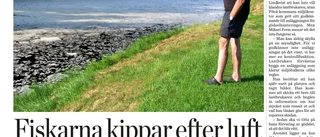 Vattnet i Åbyälven är ”tjänligt” igen