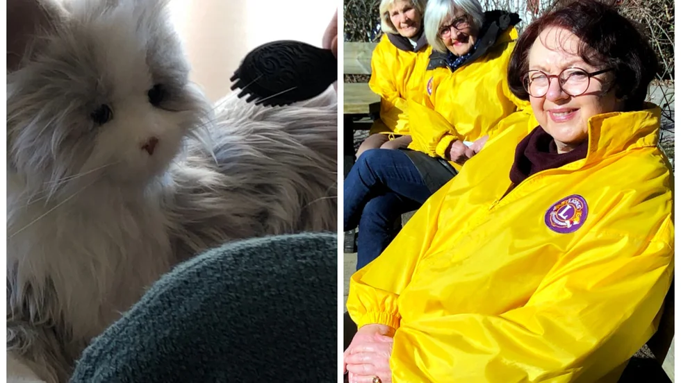 Ännu en gång har Lions Club Blåklinten Motala samlat in pengar för att kunna köpa robotkatter till äldreboenden i Motala.
