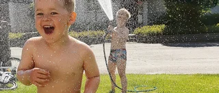 Rösta fram läsarnas bästa sommarbild