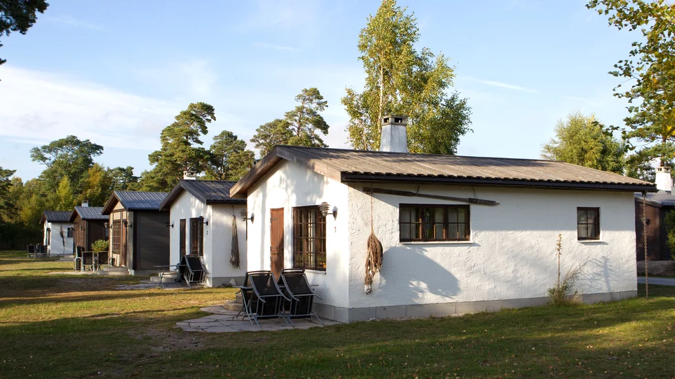 Björkhaga.