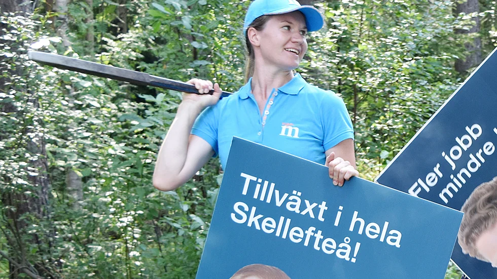 Skribenten vill tacka Micaela Löwenhöök, Moderaterna, för att hon uppmärksammar Boliden.