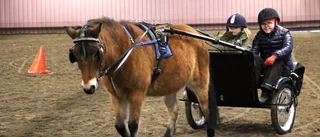 Jullovskul för hästintresserade barn 