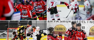 Årsmöte för att rösta bort ordförande - Boden enda norrbottensklubben bakom begäran