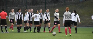 Nykomlingen fortsätter att övertyga stort