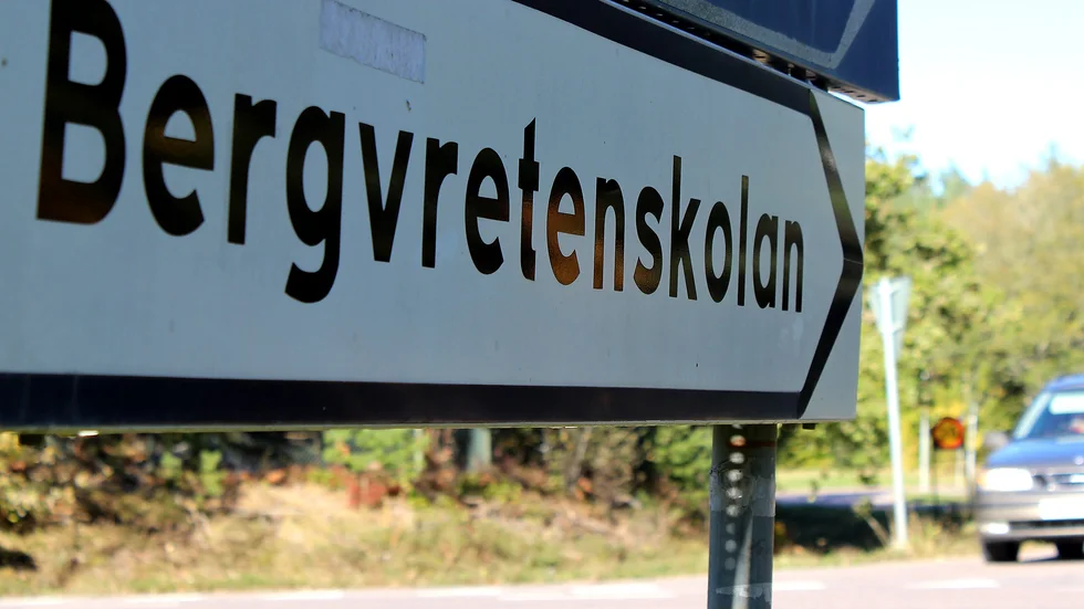 Sakkunskap säger att en optimal skolstorlek är på 450 till 600 elever, menar insändarskribenterna.