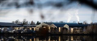 Avslöjar: Nya ägare på Rolfs såg