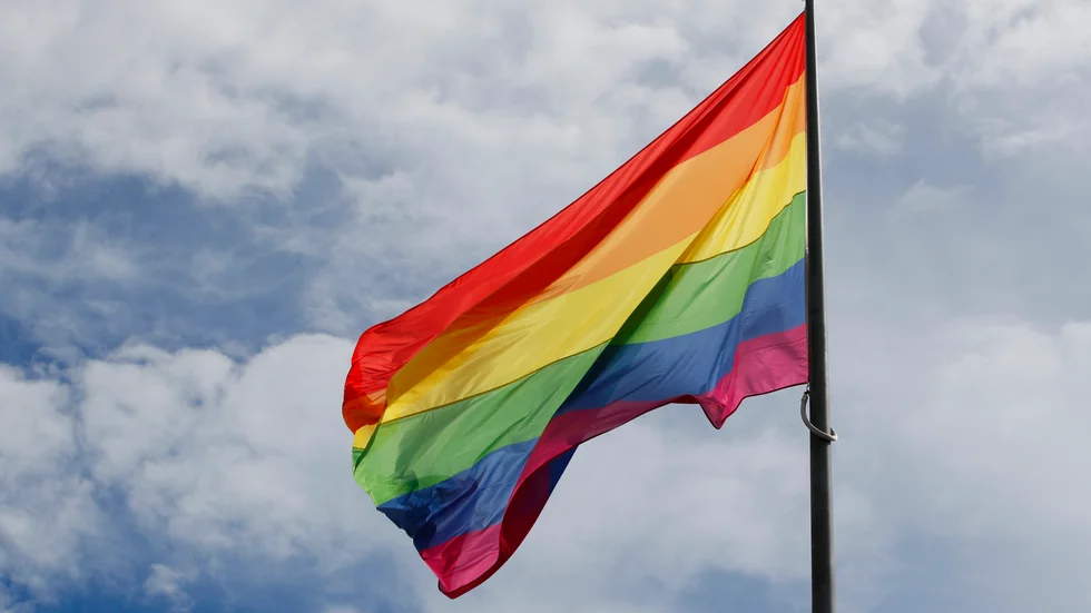 Ledarsidan målar mer eller mindre ut SD som några som är emot dessa grupper bara för att Hörby kommun som styrs av Sverigedemokrater inte vill hissa en viss flagga, menar debattören.